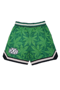 HXO Varsity Leaf Mesh Shorts